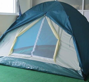 DOME 4